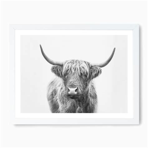 Highland Bull Art Print by Sisi and Seb - Fy