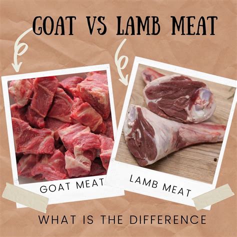 Goat vs Lamb Meat: What is the Difference?