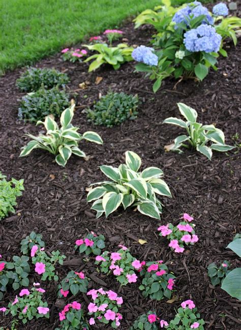 How To Choose And Apply Mulch to Your Flower Beds