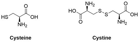 Cysteine (and Cystine) – Chemtymology