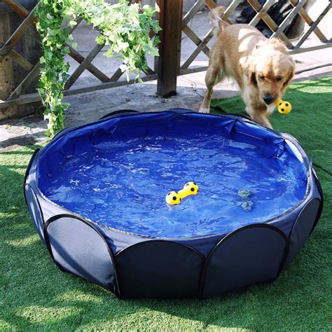 Indoor Pool For Dogs - Dog N Treats