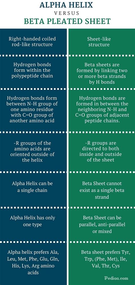 Difference Between Alpha Helix and Beta Pleated Sheet -infographic ...