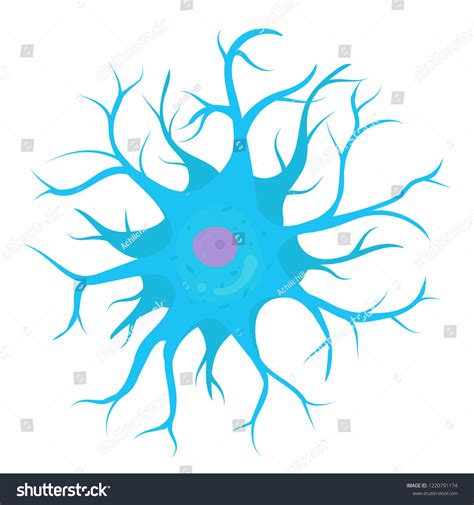 Dendritic Cells Vector: Over 1,541 Royalty-Free Licensable Stock Vectors & Vector Art | Shutterstock