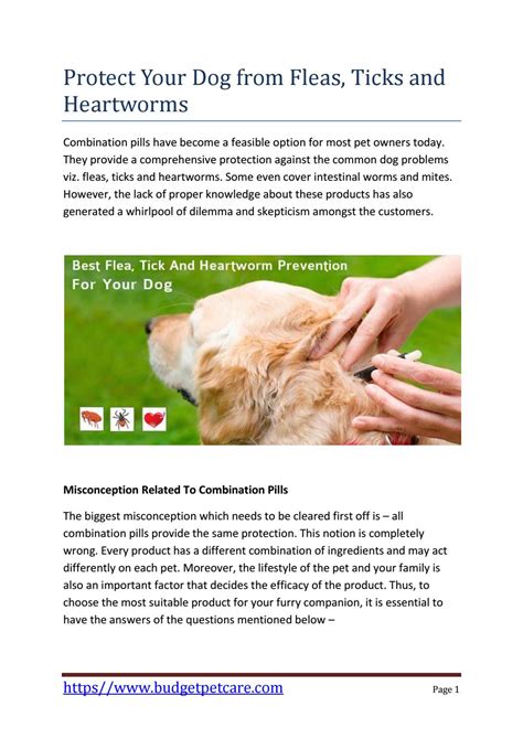 Protect Your Dog from Fleas, Ticks and Heartworms by Alan William - Issuu