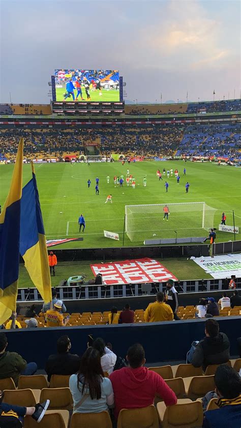 My view for Tigres vs Cruz Azul : r/LigaMX