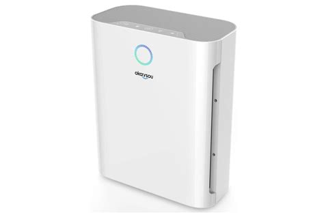 13 best air purifiers to help with allergies at home in 2022