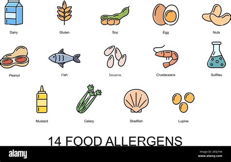 14 food allergens. Set of color icons of basic allergens . Vector ...