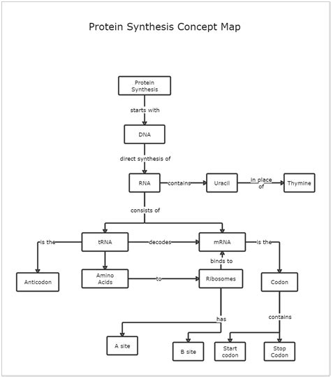 This Protein Synthesis Concept Map Template depicts the process of protein synthesis. A Protein ...