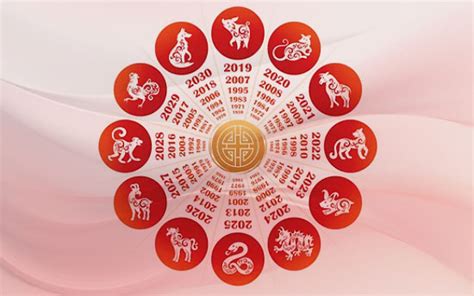 Chinese Zodiac Analysis: 12 Animal Signs, Calculator, Compatibility