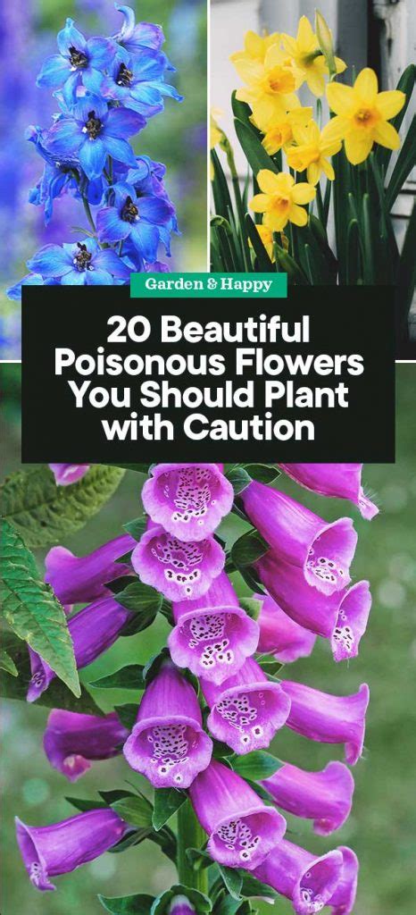 20 Beautiful Yet Poisonous Flowers You Should Only Plant with Caution ...