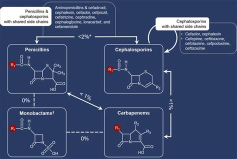 Beta-lactam structure and cross-reactivity examples. Beta-lactam... | Download Scientific Diagram