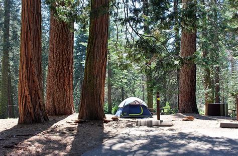 9 Best Campgrounds at Kings Canyon National Park, CA | PlanetWare