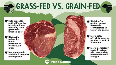 The Importance of Grass-fed Beef