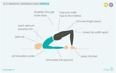 Setu Bandha Sarvangasana - Bridge — YOGARU