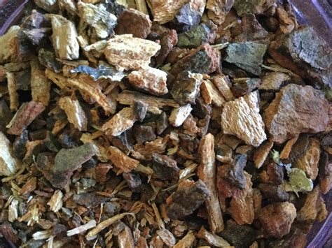 Wild Cherry Bark, organic – Herbal Passion