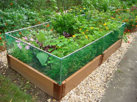 Vegetable Garden Fence Ideas Rabbits - all about hobby