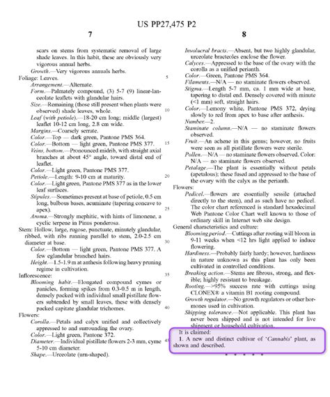 How To File A Plant Patent In 5 Steps - Bold Patents