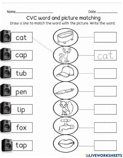 worksheet for the cvc word and picture matching with pictures to help students learn