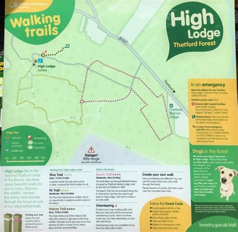 High Lodge, Thetford Forest – Walking Trail Map Forestry Commission - Outdoor Fun | Thetford ...