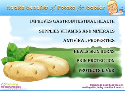 Health Benefits of Potatoes | Potato health benefits, Benefits of organic food, Benefits of potatoes