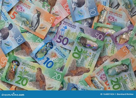 Stack of Different New Zealand Dollar Banknotes Stock Photo - Image of collection, luxury: 164807424