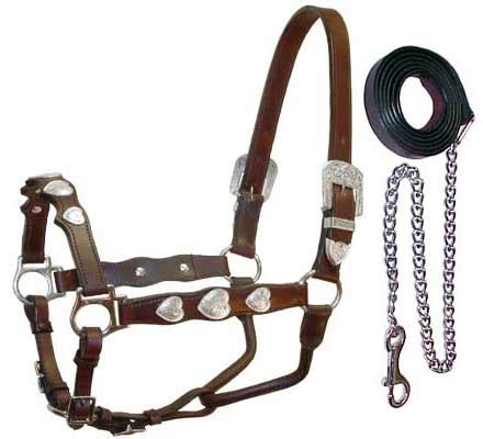 Draft Horse Tack,Leather Horse Tack,Horse Tack Suppliers from Uttar Pradesh