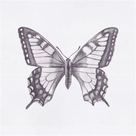 35+ Butterfly Drawing Ideas - HARUNMUDAK