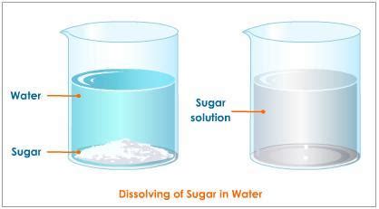 Which Words Actually Describe the Sugar Solution - Kimberly-has-Garrett