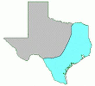 Gulf Coastal Plains - Regions Of Texas