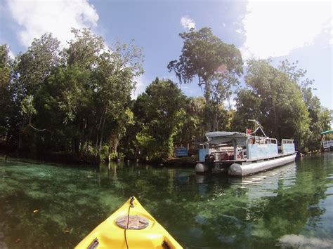 Kayaking Three Sisters Springs, Crystal River, Fla, Sept. … | Flickr