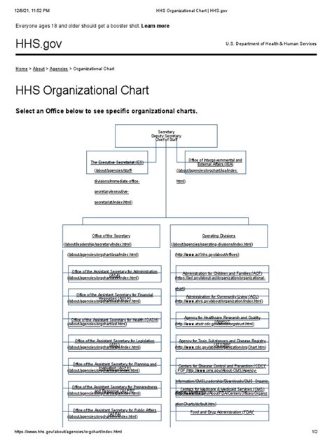 Hhs Organizational Chart Hhs | PDF | United States Department Of Health ...