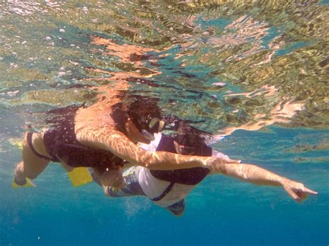 Snorkeling off West Caicos in Turks & Caicos. Info: https://www.snorkelingdives.com/?city=West ...