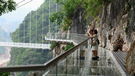 Giant jungle bridge made of glass | KidsNews