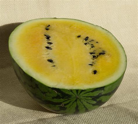 Yellow Watermelon Varieties and How to Grow - Rural Living Today