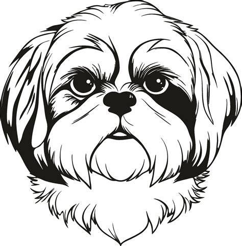 Shih Tzu Puppy Vector Art, Icons, and Graphics for Free Download