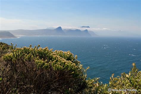 Cape Point Nature Reserve - Stray Along The Way