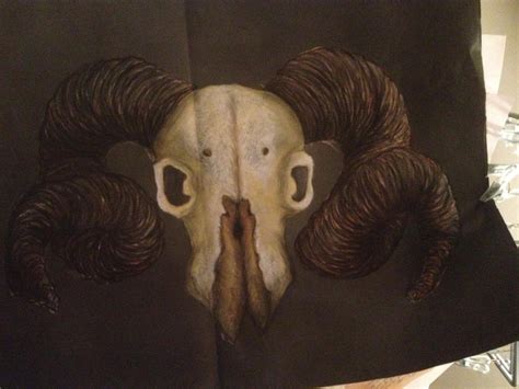 Ram Skull Study by Delvette on DeviantArt