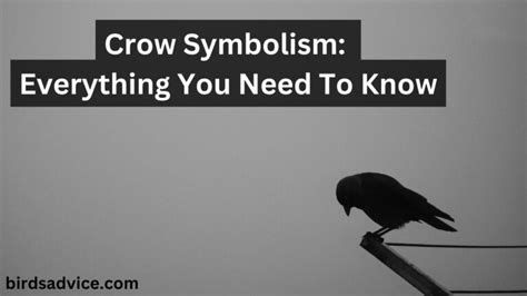 Crow Symbolism: Everything You Need To Know - Birds Advice