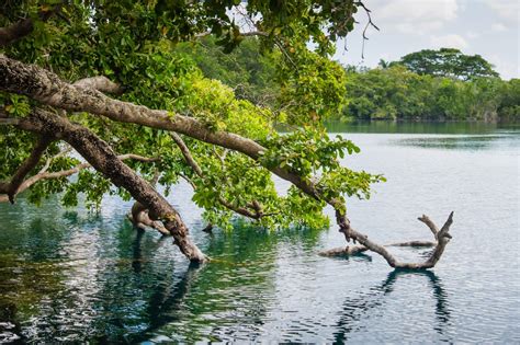 Bacalar Mexico: Travel Guide to The Yucatan's Most Epic Lake