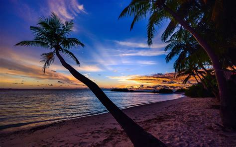 Palmeras en playa al atardecer Fondo de pantalla 4k HD ID:4608