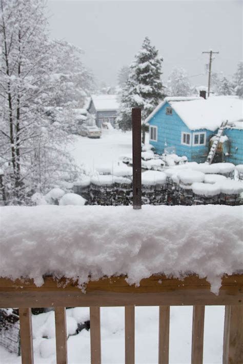 Late Winter Snow | Sitka Nature