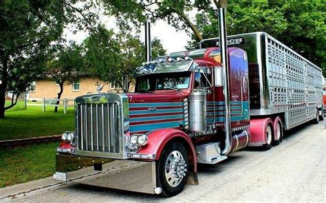 Peterbilt custom 379 bull hauler | Trucks, Peterbilt trucks, Peterbilt