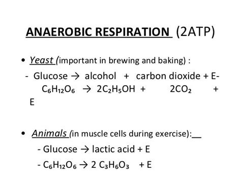 Powerpoint respiration