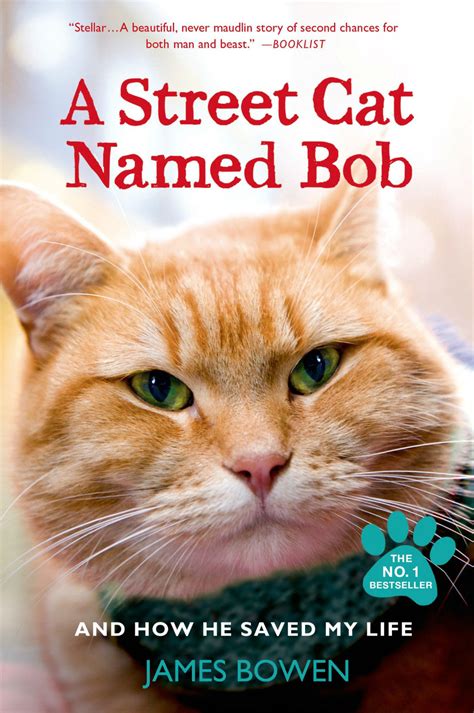 A Street Cat Named Bob - [CINECURE]