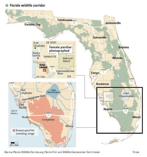 Florida Panther Habitat Map