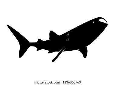 Silhouette Animal Whale Shark On White Stock Vector (Royalty Free) 1136860763 | Shutterstock