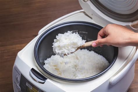 How Does a Rice Cooker Work: The Basics Explained | Snact