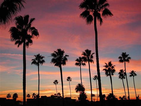 California Palm Trees Sunset Wallpapers - Top Free California Palm ...