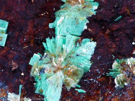 Torbernite Mineral Specimen For Sale