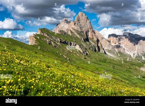 Seceda peak. Trentino Alto Adige, Dolomites Alps, South Tyrol, Italy. Odle mountain range, Val ...